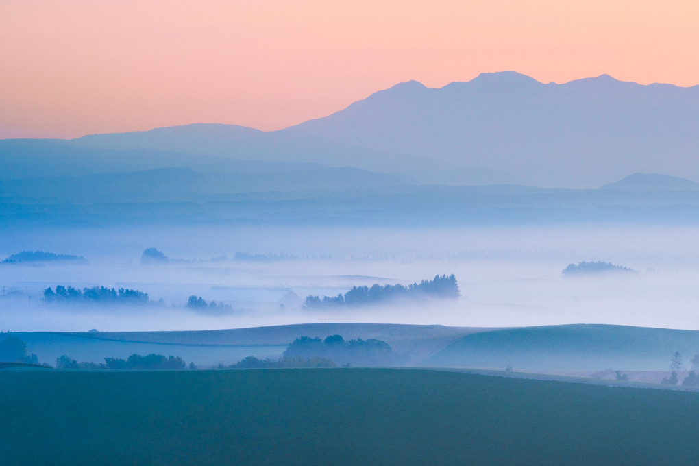 朝霧の丘