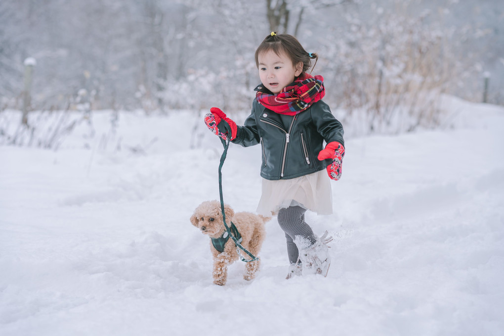 雪中さんぽ