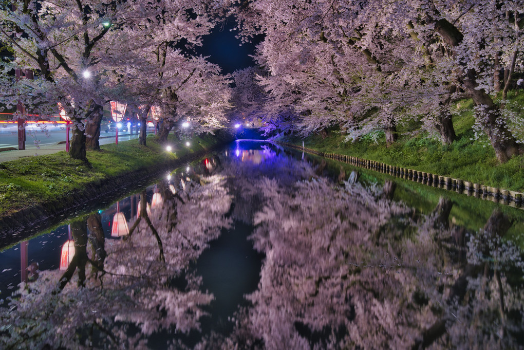 弘前城の夜景