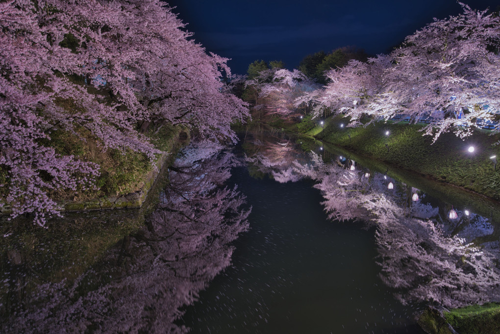 弘前城の夜景