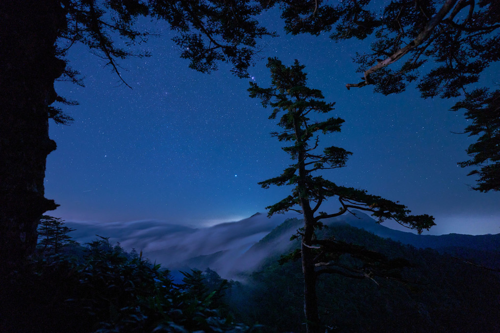 夜の森から見る滝雲