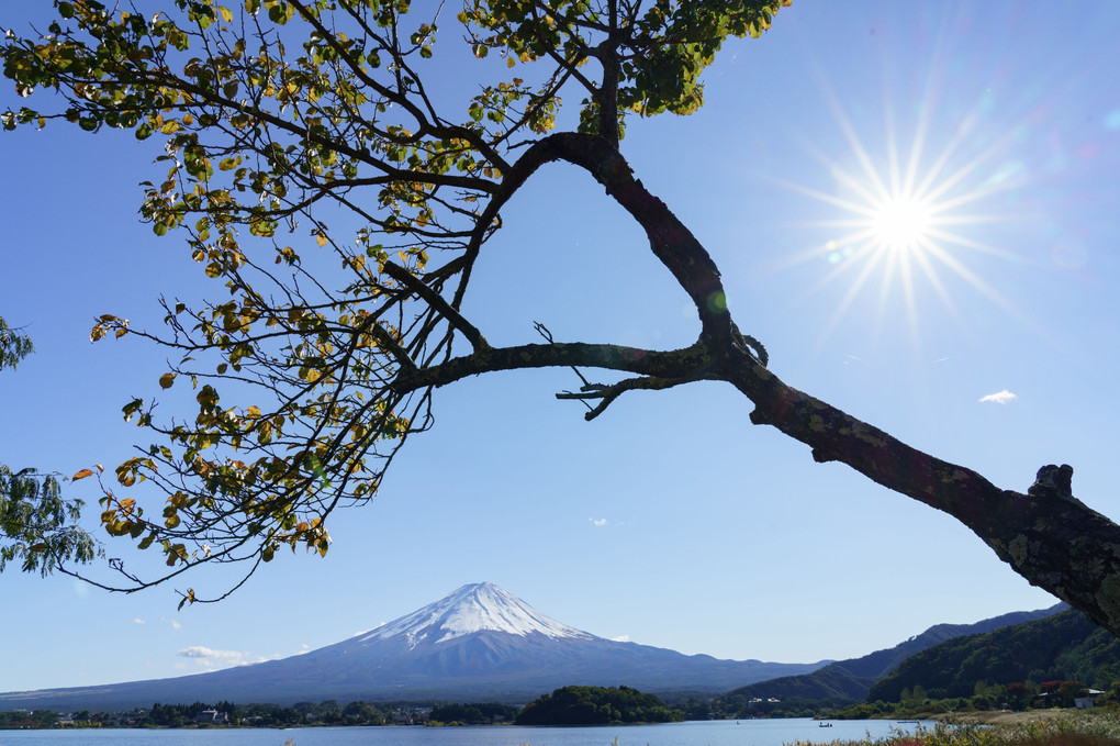 美しき富士山