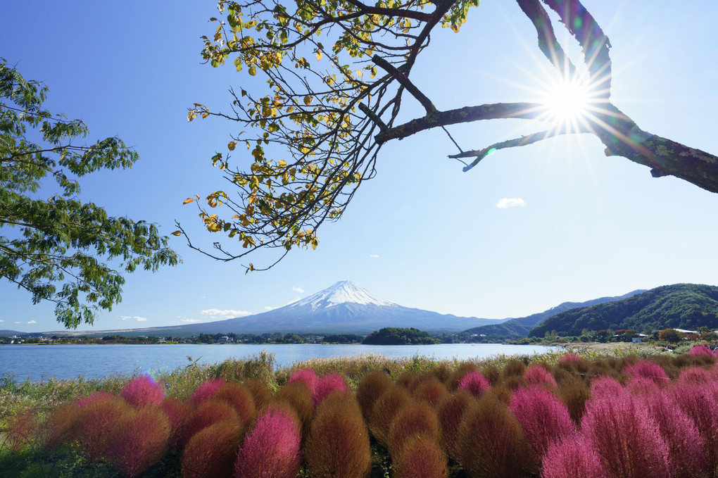 美しき富士山