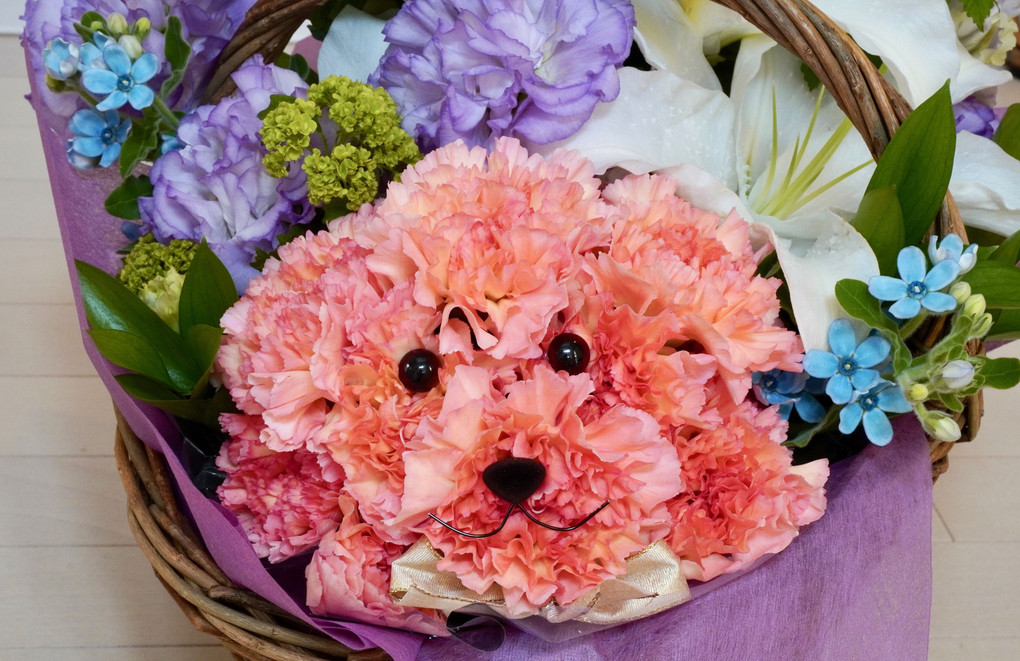 花の犬