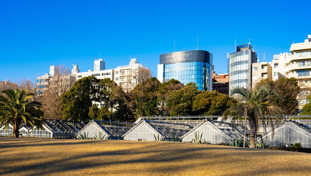 新宿御苑2