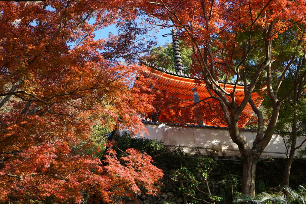 紀三井寺多宝塔