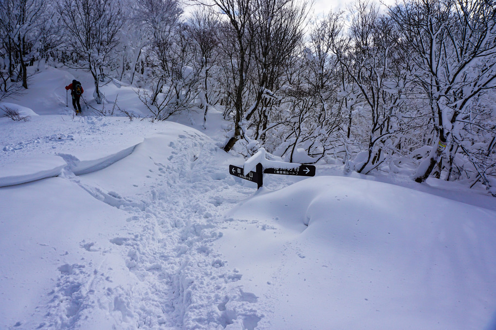 雪山散歩