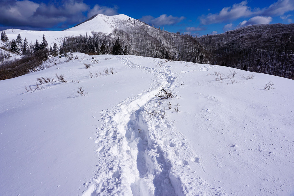 雪山散歩
