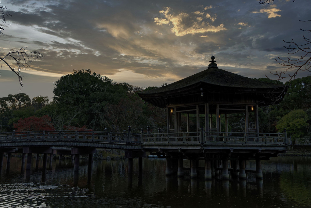 晩秋の奈良公園浮見堂の1日