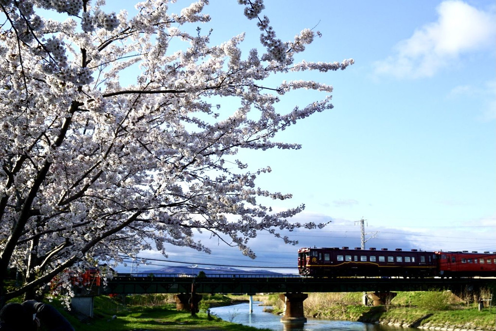 桜といさりび鉄道