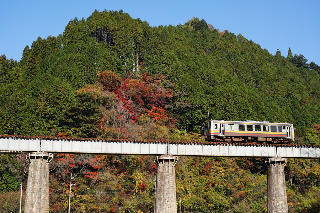 ローカル線紀行　～秋色の因美線～