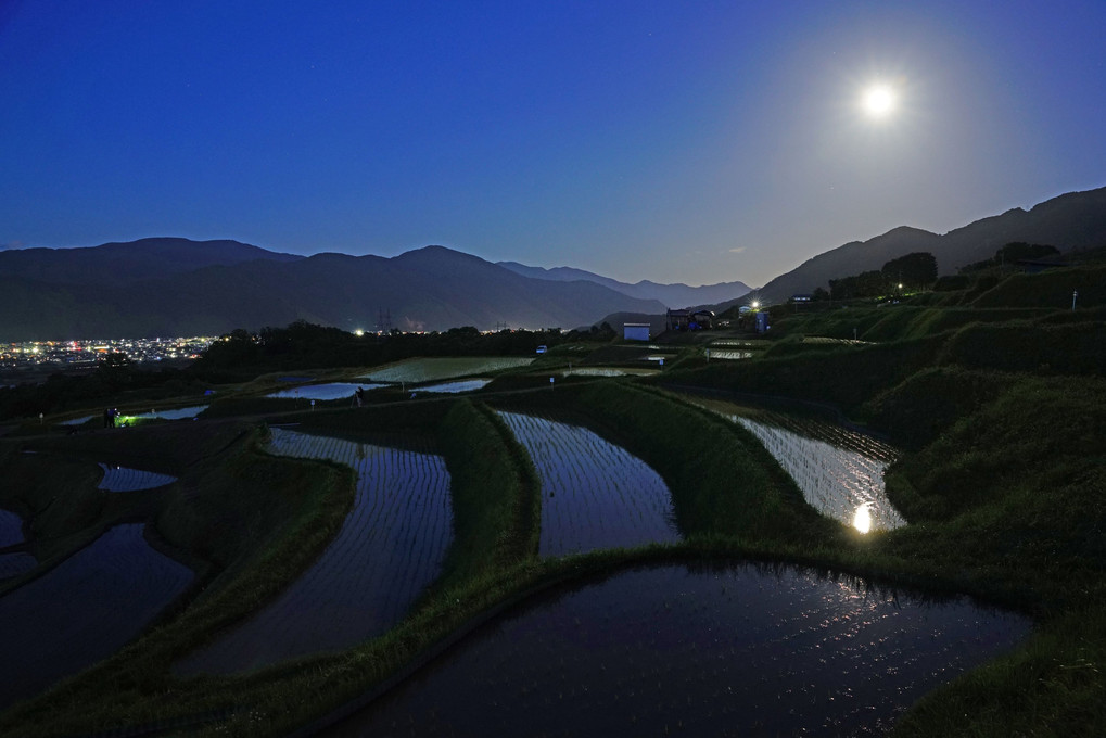 棚田夜景