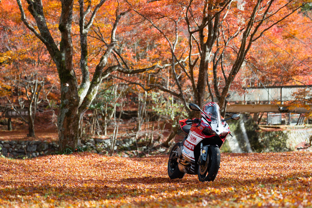 籠坊温泉の紅葉