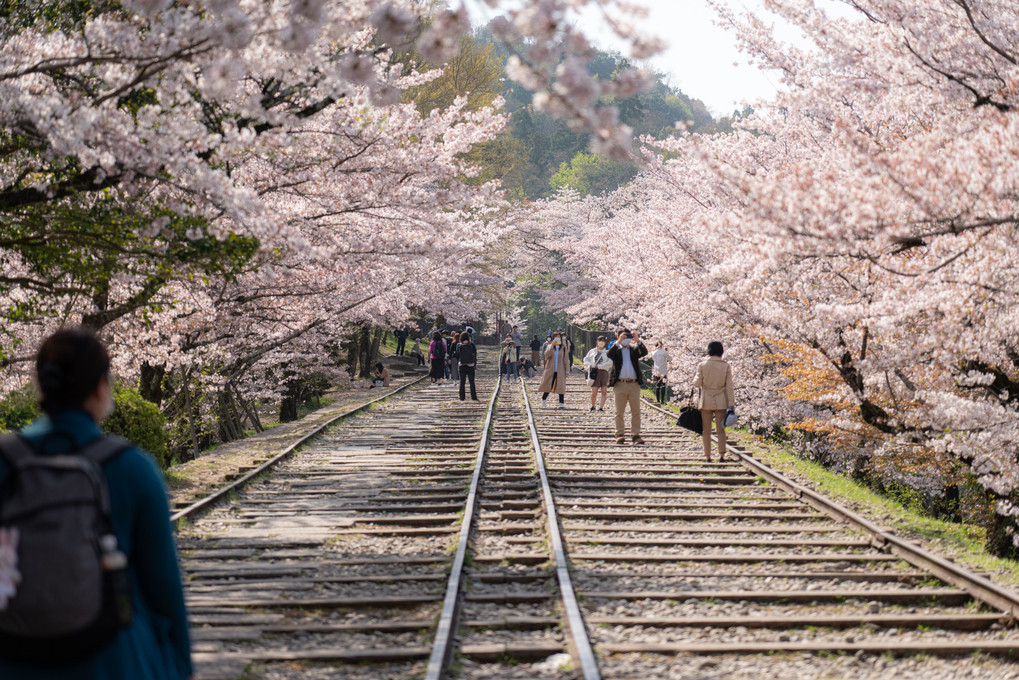 京都・蹴上インクライン