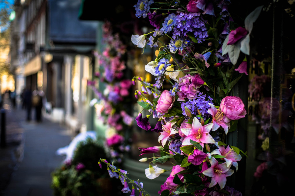 Flowers in Cambridge