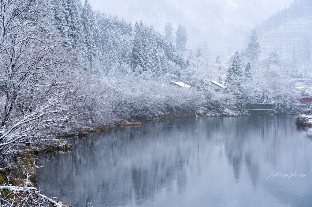 水に写る冬景色