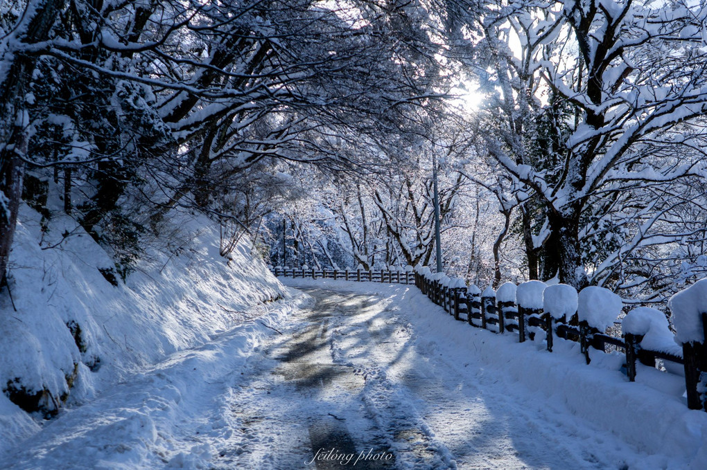 冬の小道