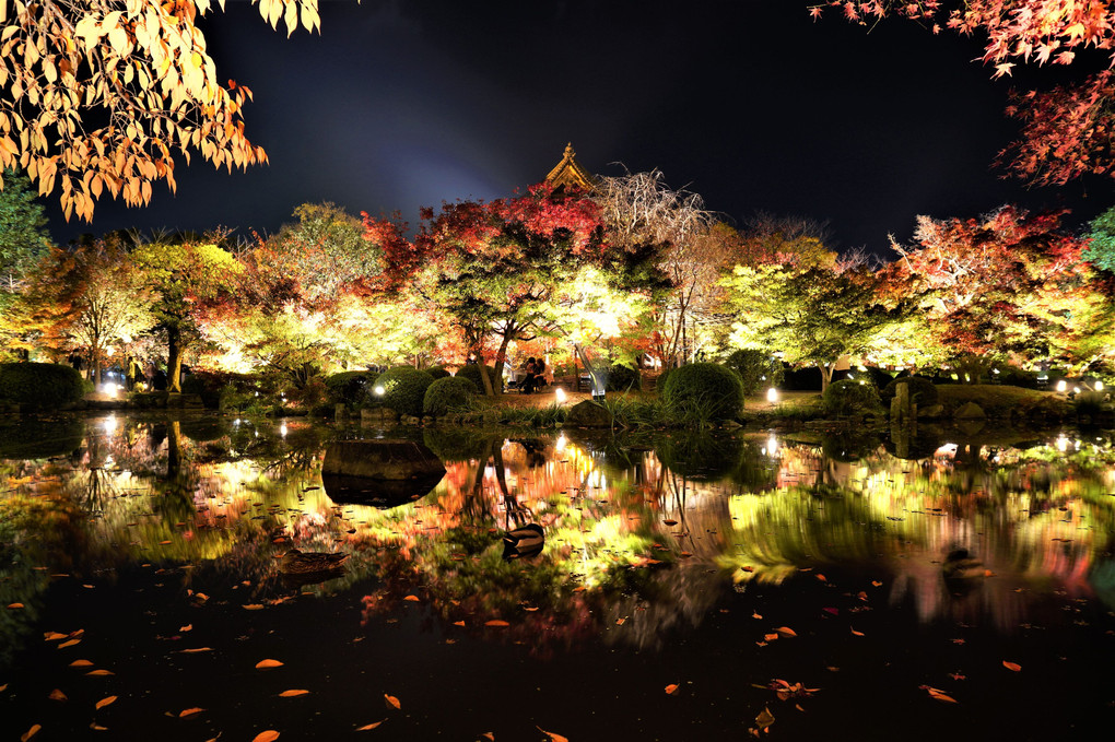 世界遺産「東寺」のライトアップ