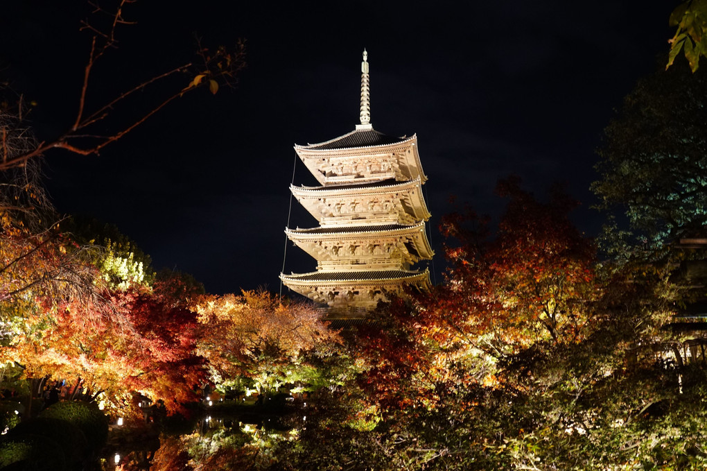 世界遺産「東寺」のライトアップ
