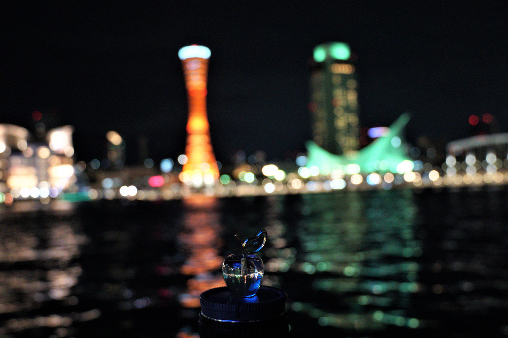 神戸港の夜景！