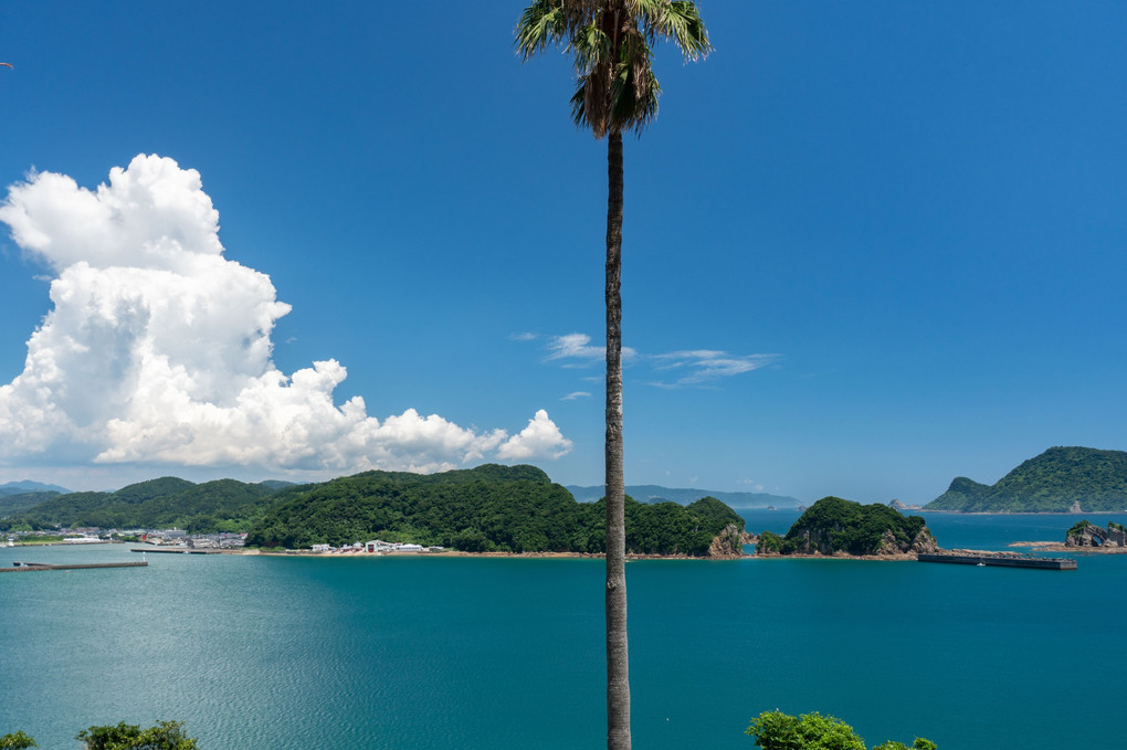 南国の海と空