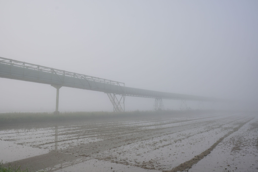 霧中のベルトコンベア