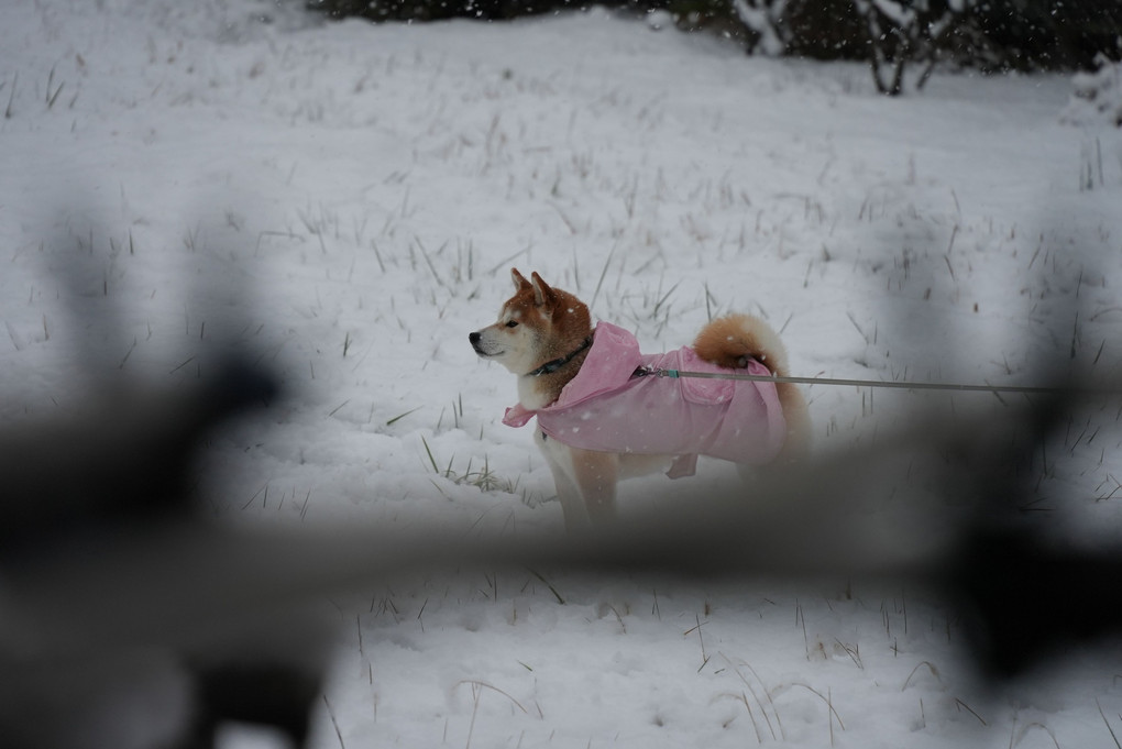 2022-01-06大和1~10 大和、雪中初出撃！ヽ(｀･ω･´)ノ