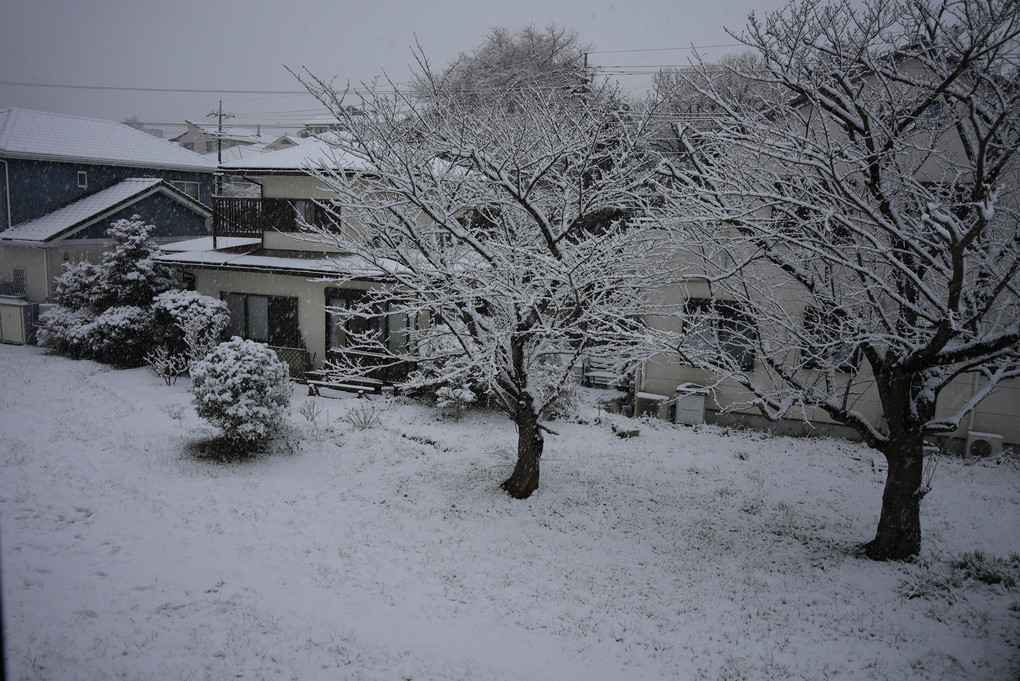 2022-01-06大和1~10 大和、雪中初出撃！ヽ(｀･ω･´)ノ