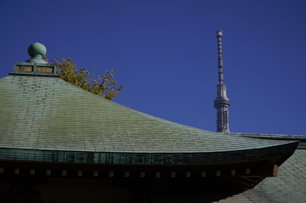 浅草寺とスカイツリーの見える風景