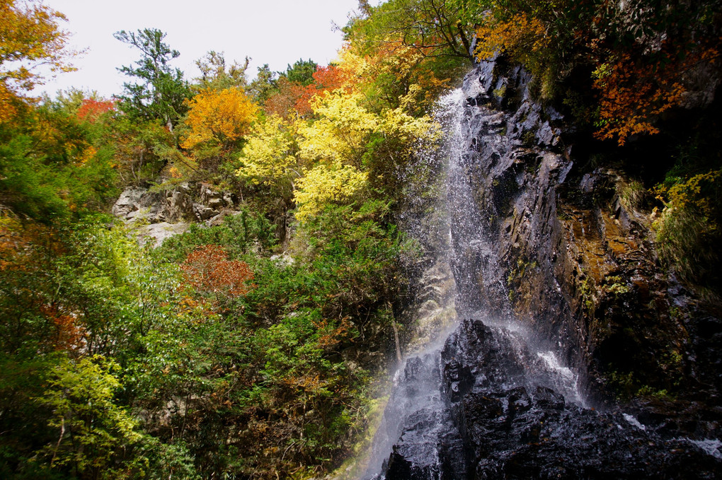 黄葉と滝