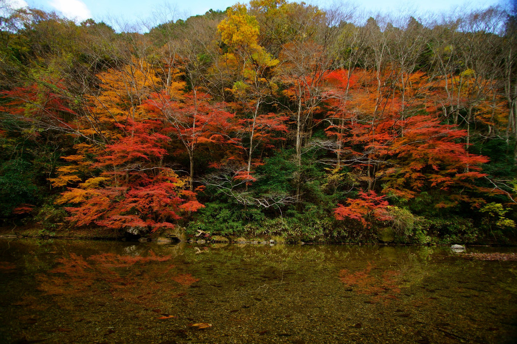 紅葉水鏡