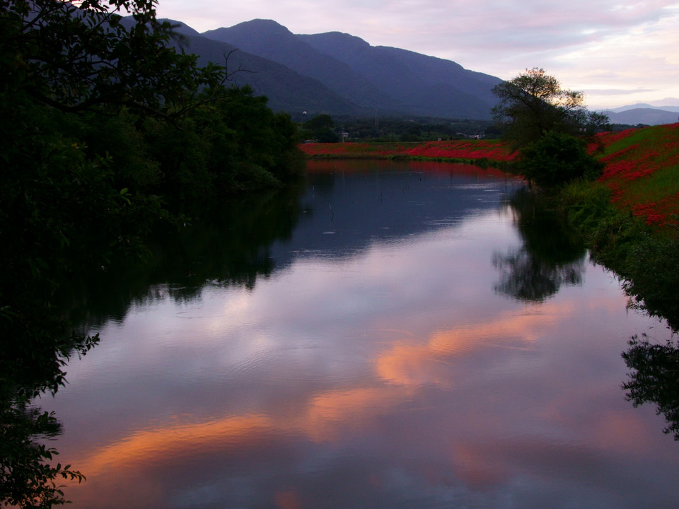 川面の夕焼雲と彼岸花