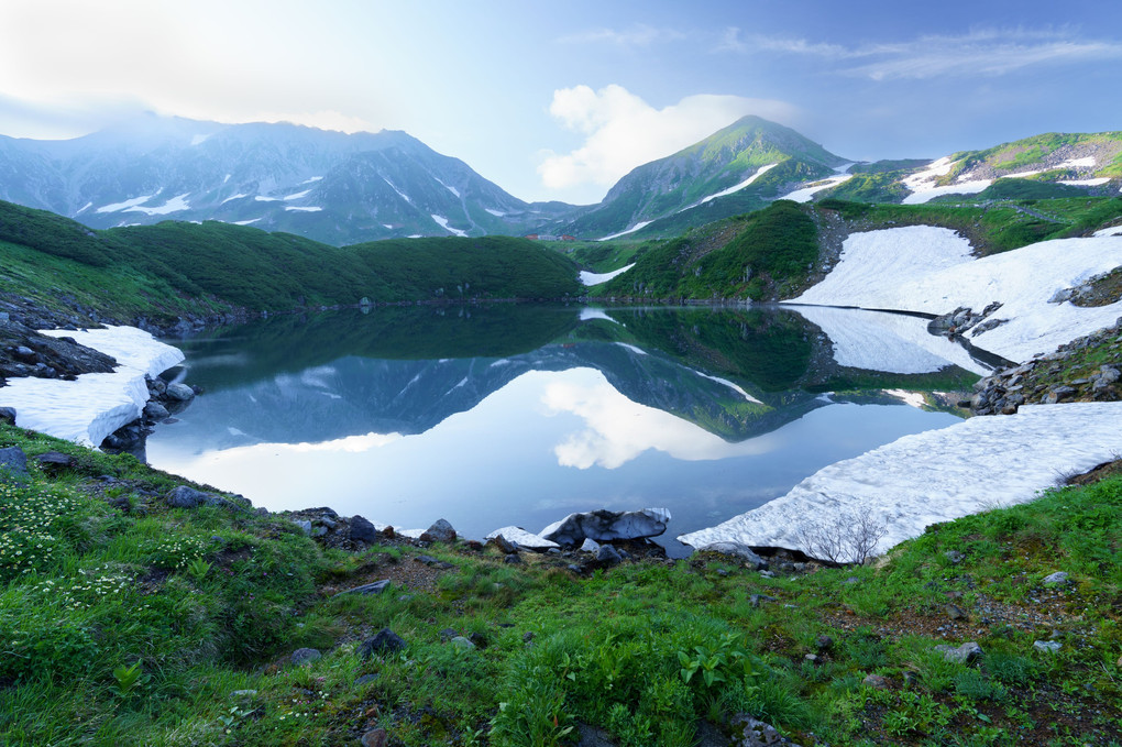 立山の夏 ～高山植物と雪渓、そして雷鳥～