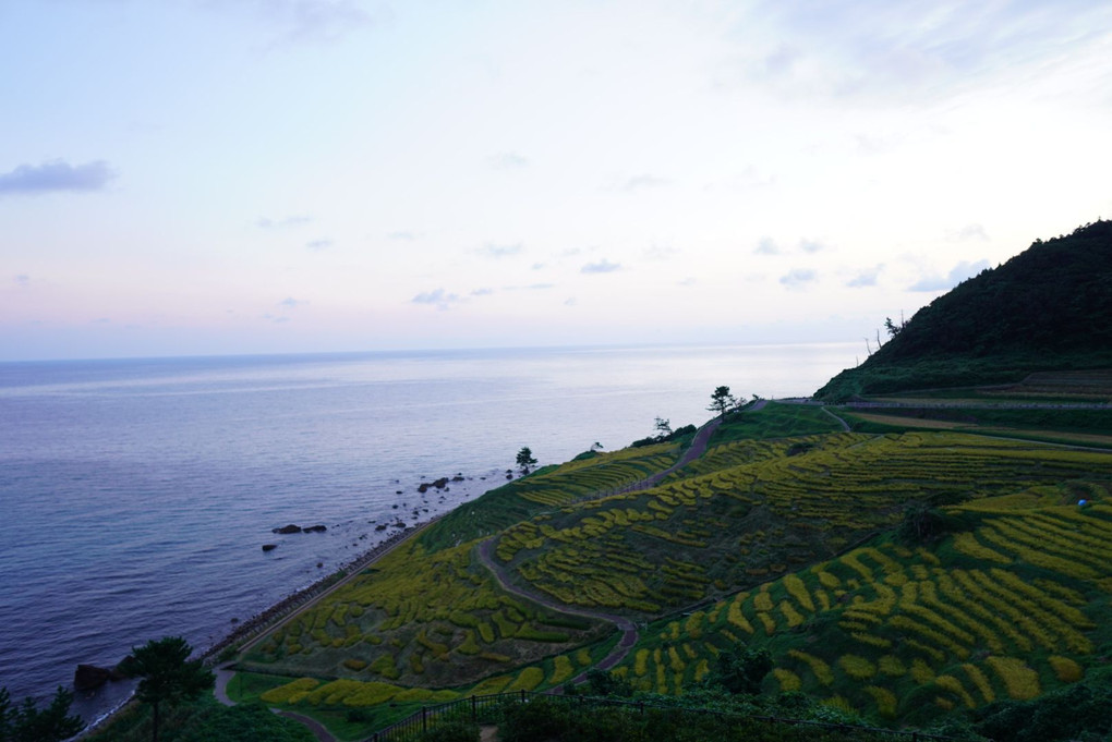 千枚田 日の出