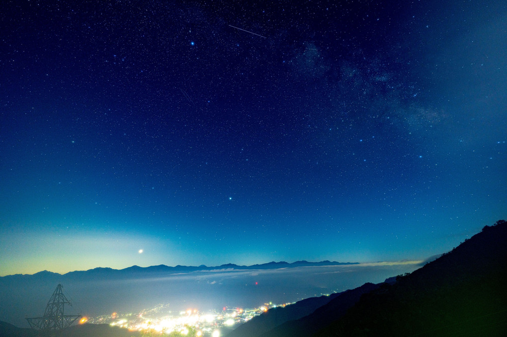 高山の花畑