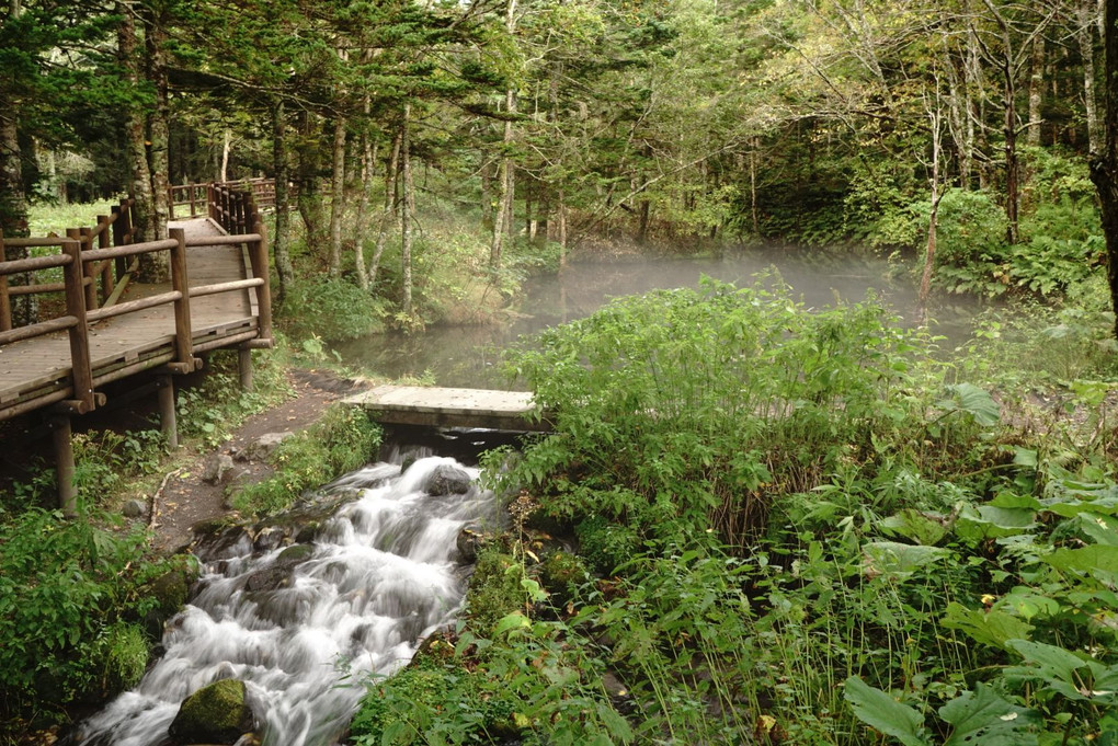 釧路旅行 神の子池