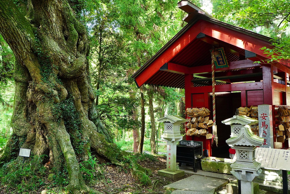 大杉神社 稲荷神社