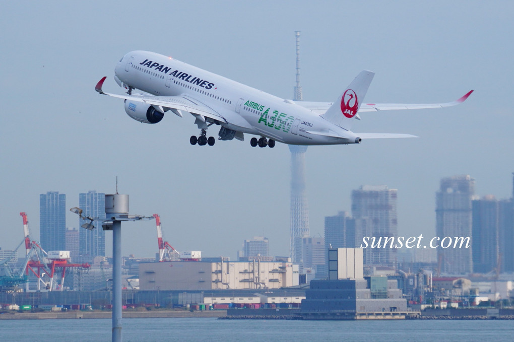 JAL A350-900 羽田ー札幌間就航