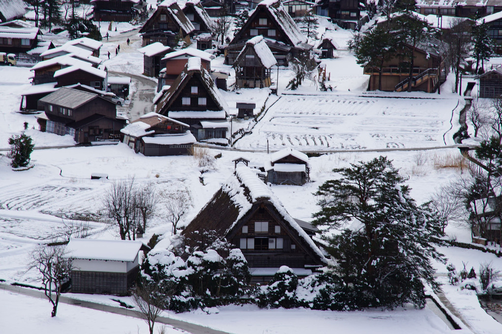 白川郷