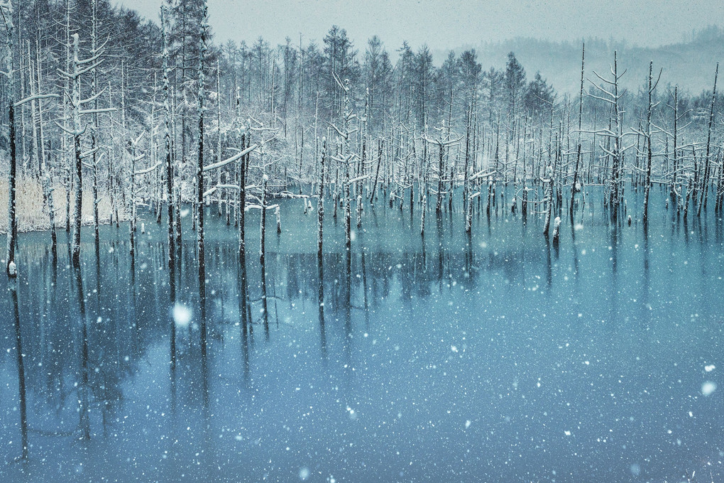 雪の中の青い池