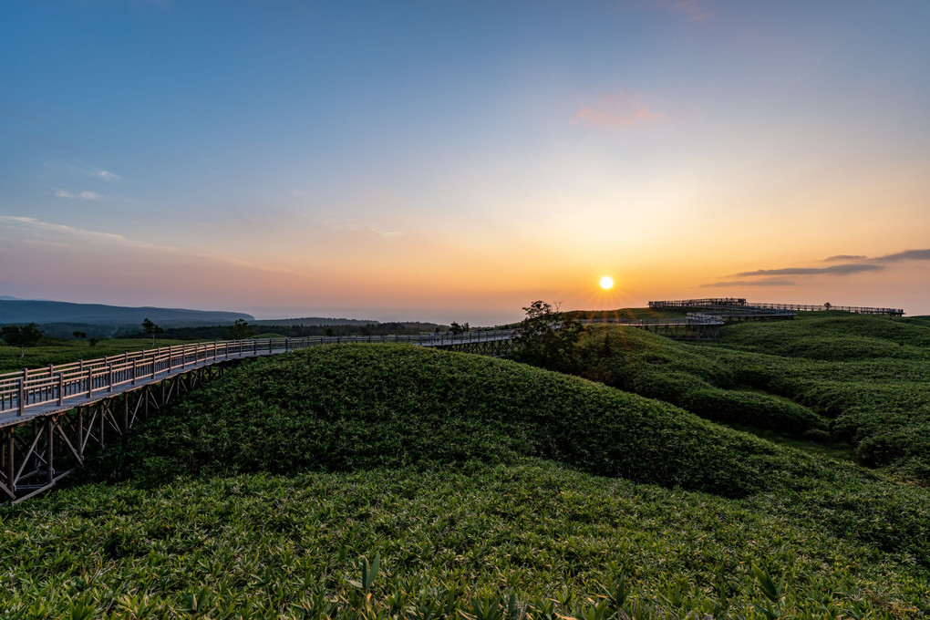 知床　木道の夕日