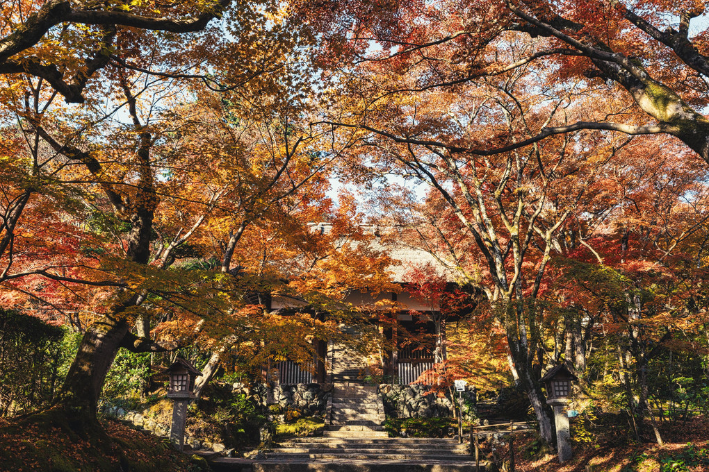 常寂光寺