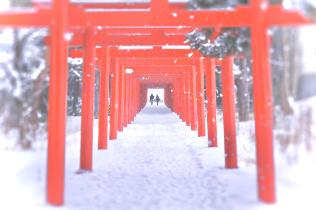 Fushimi Inari　：　Snow Day