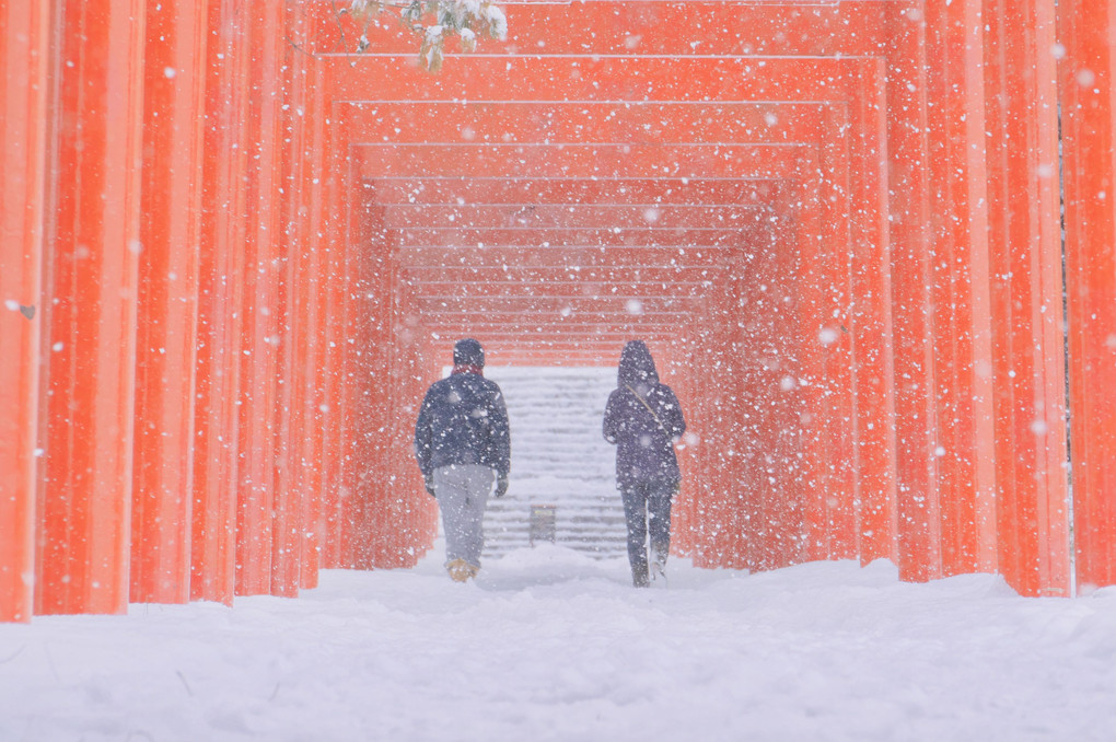 Fushimi Inari　：　Snow Day