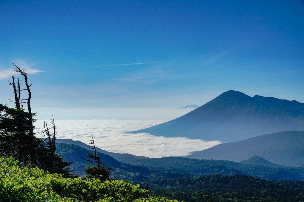 雲海の上にそびえる南部富士