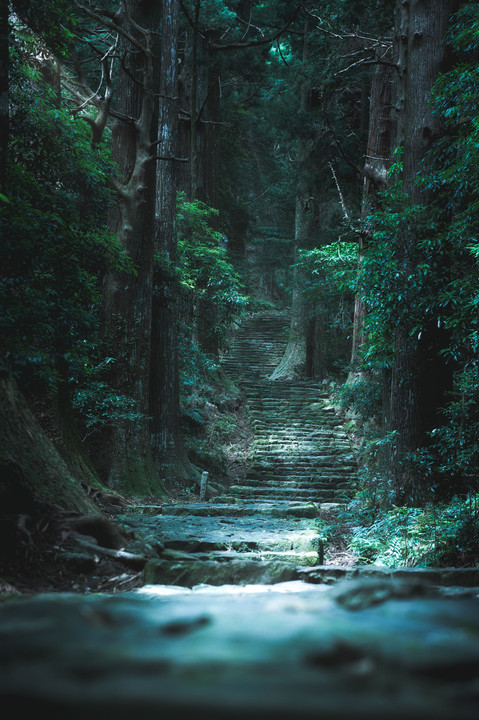 熊野古道