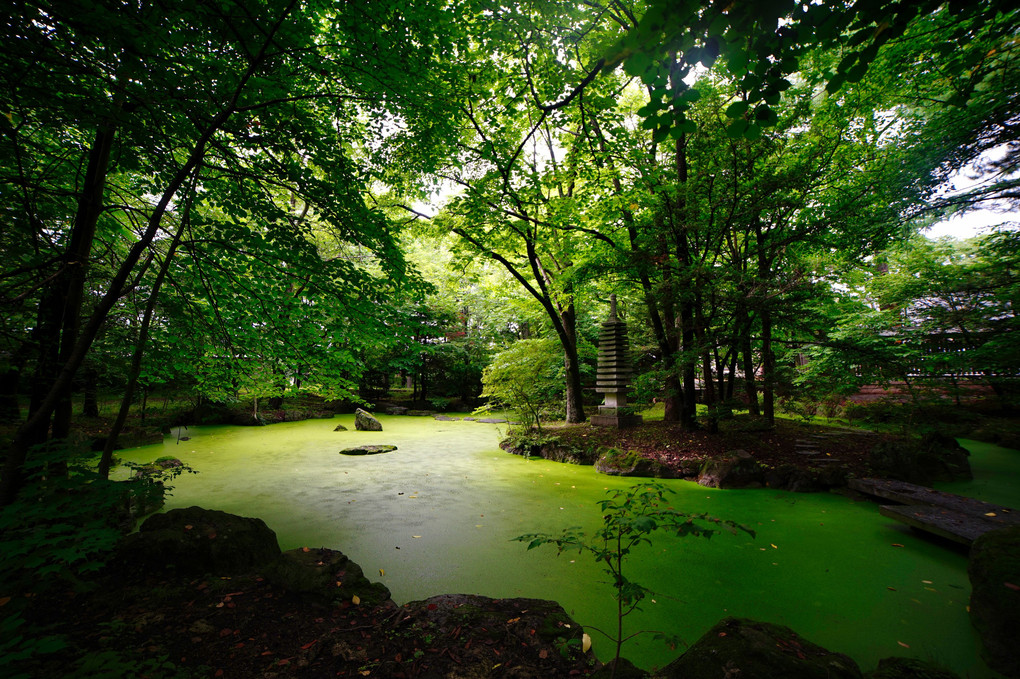 帯廣神社の池