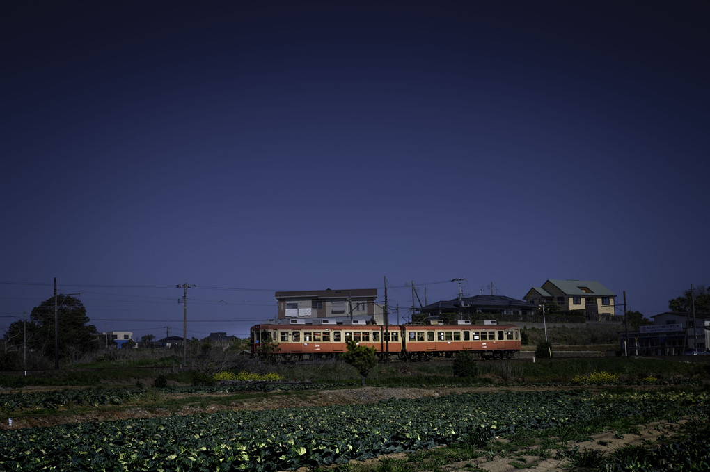 キャベツ畑を走る銚子電鉄
