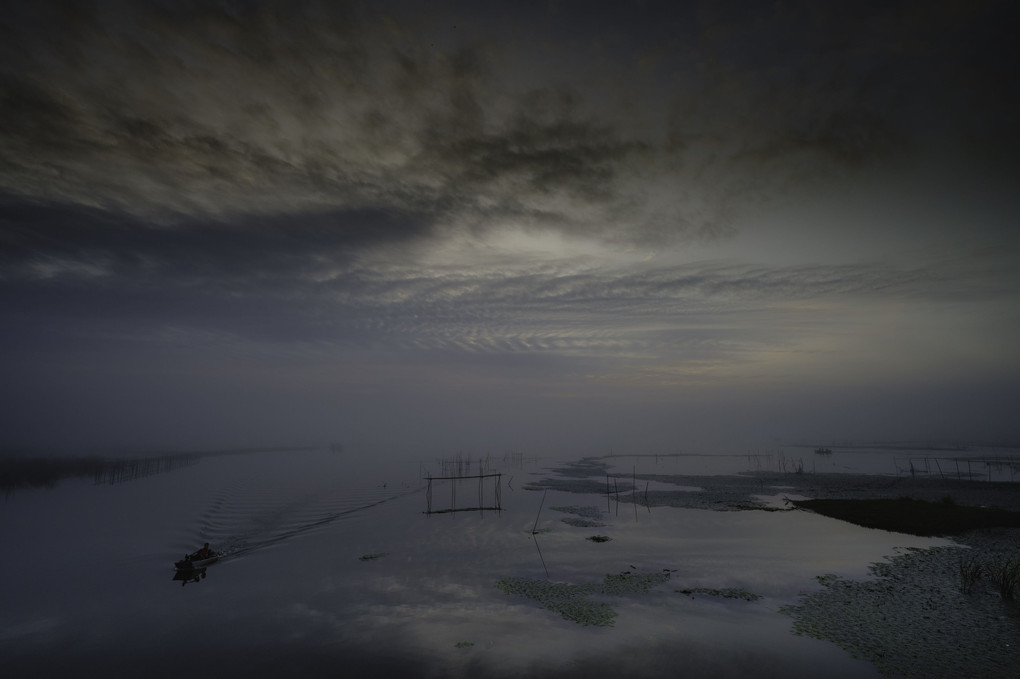 印旛沼の朝霧