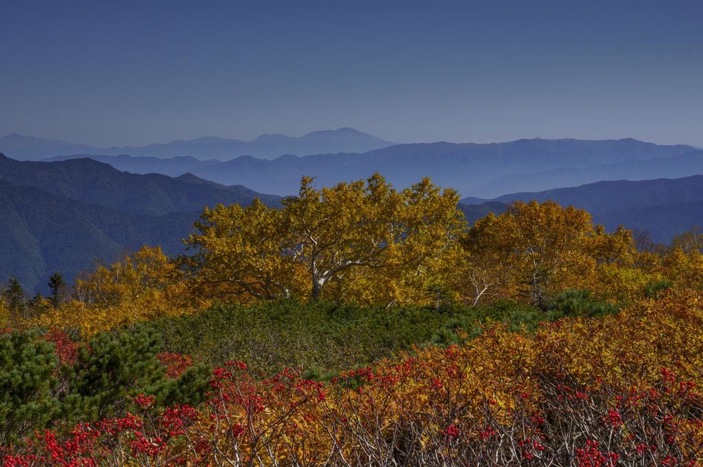 乗鞍岳の紅葉と風景